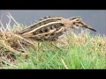 Jack Snipe - The Movie