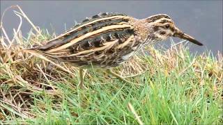Jack Snipe - The Movie