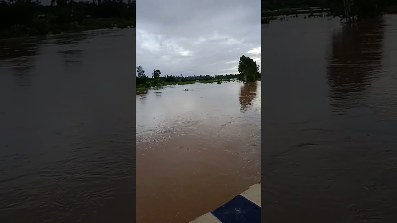 sadhora nadi uffan pe 😱😱