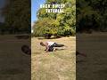 Back Sweep Tutorial #shorts #martialarts