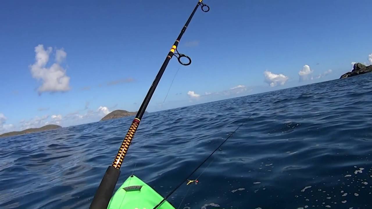 Megans Bay, St. Thomas, USVI. kayak tarpon fishing with a cameo from