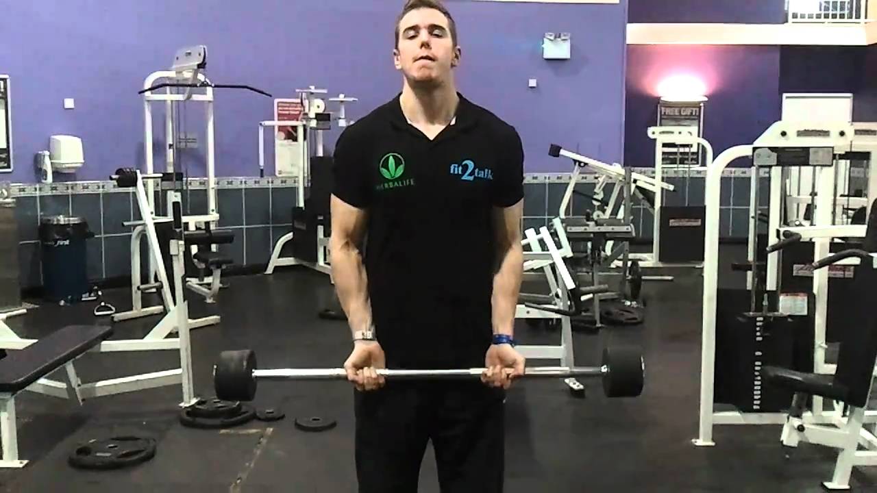 Standing Straight Barbell Curl YouTube