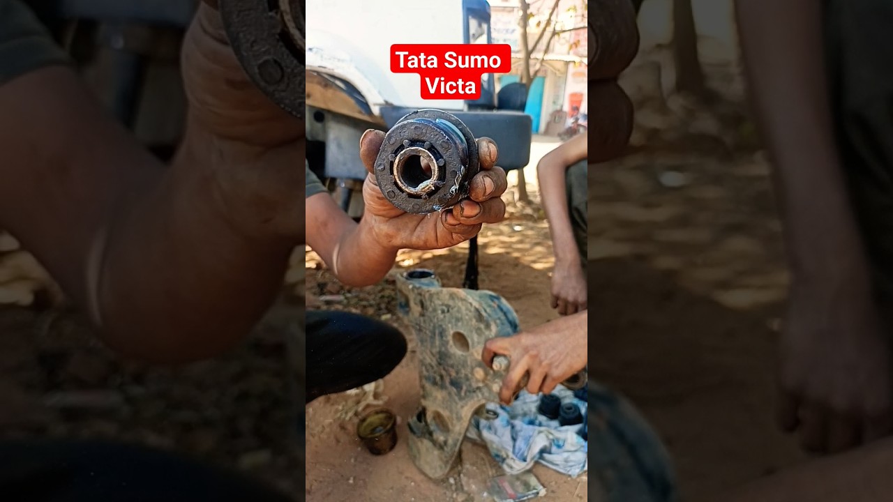 Sumo Victa, suspension work.📌