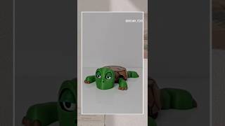 kura-kura lucu receh #receh #jokesreceh