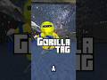 New gorilla tag update!