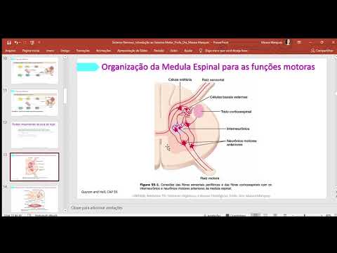 Vídeo: Circuitos Neurais Que Conduzem A Locomoção Larval Em Drosophila