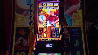 Can the Beavers Pay?! TIMBER JACK GOING WILDER FREE GAMES! 🦫💰 $3 Bet on a 2¢ Machine