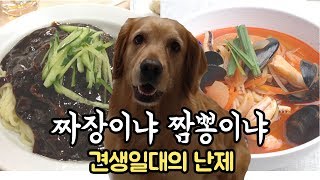 엄마가 좋아? 아빠가 좋아? 이렇게 어려운 문제를 내지 말란말야! 밤비의 선택은?