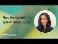 How does the nervous system register safety?