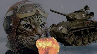 Кот в танке