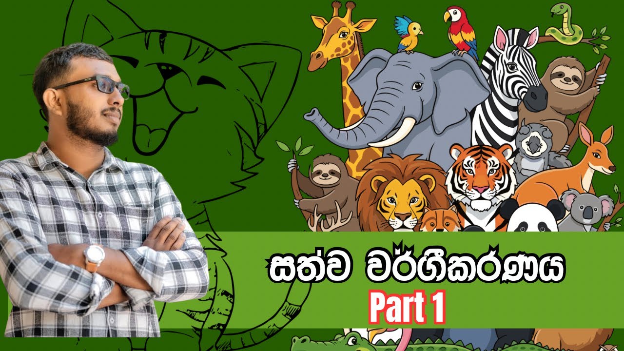සත්ව වර්ගීකරණය 2 8 ශ්‍රේණිය