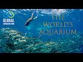 Cabo Pulmo National Park - The World's Aquarium