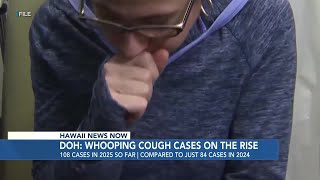 Whooping cough cases surge in Hawaii