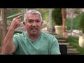 What is energy in the dog world by cesar millan