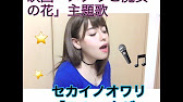 Sekai No Owari Rain 映画 メアリと魔女の花 主題歌 Cover By Meg Fairy メグ フェアリー Youtube Sekai No Owari Rain 映画 メアリと魔女の花 主題歌 Cover By Meg Fairy メグ フェアリー Youtube