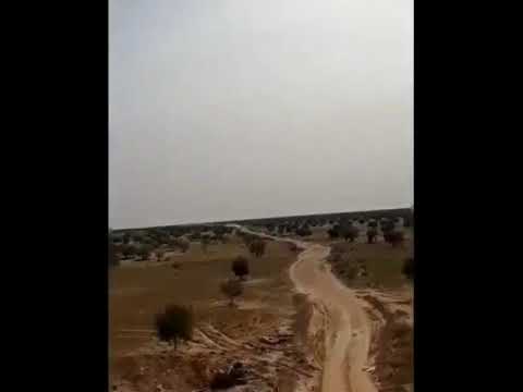 تهريب بنقـــردان