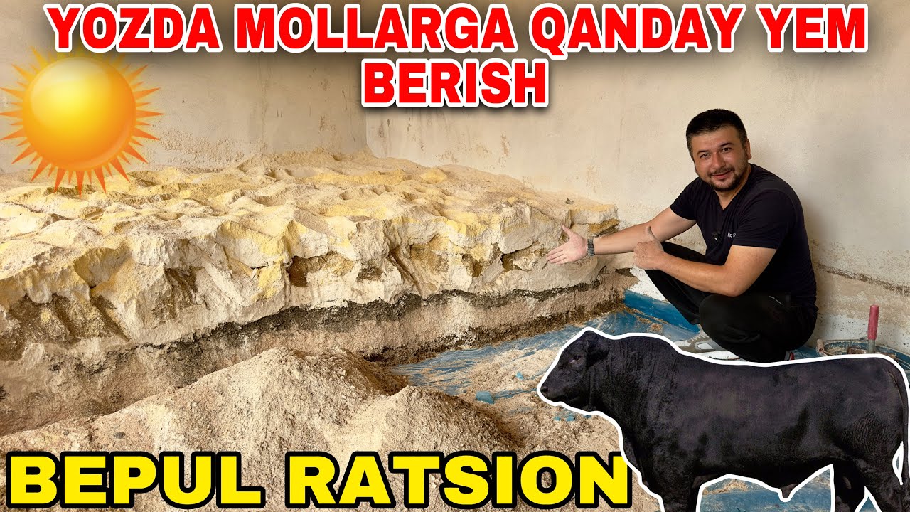 МОЛ БОҚУВЧИЛАР КЎРСИН ! ЁЗ ОЙЛАРИ УЧУН БЕПУЛ РАТЦИОН✅