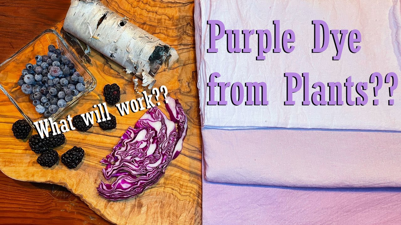 I Attempt to Make Purple Dye From Plants! Adventures in Natural Dying