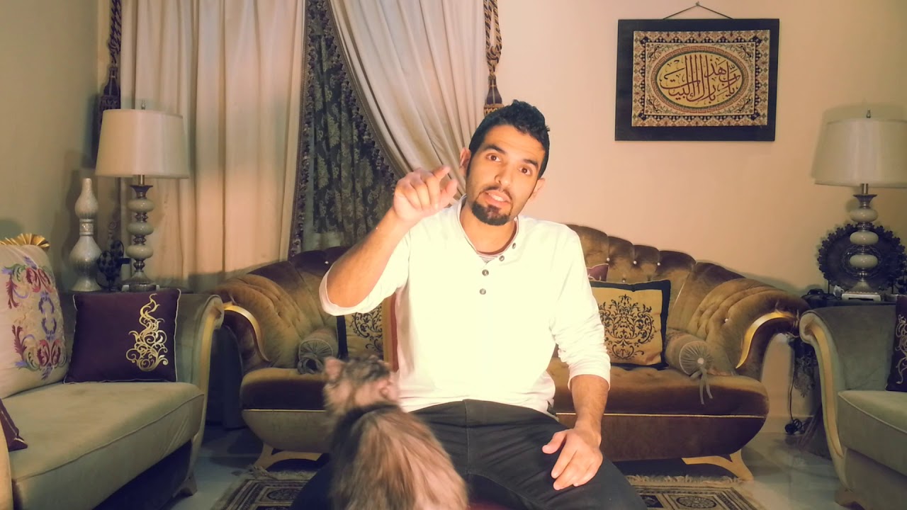 شاهد😘شرح تفصيلى👌التغذيه السيئه 😒واسباب الدود في القطط👍😉