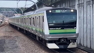 JR東日本E233系6000番台H016編成　各駅停車八王子行きが八王子みなみ野駅に到着