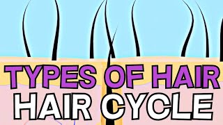 HAIR GROWTH | UNDERSTANDING THE HAIR CYCLE | TYPES OF HAIR - EXPLAINED IN 2 MINUTES!!