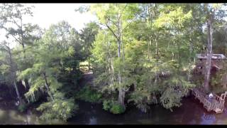 389 Acres Jack White Road, Leakesville