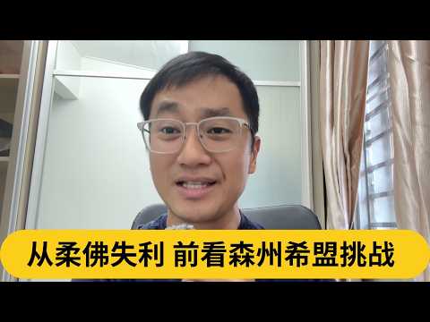 马来海啸从南马来袭...从柔佛失利前看森州希盟挑战｜阿耀闲聊政治