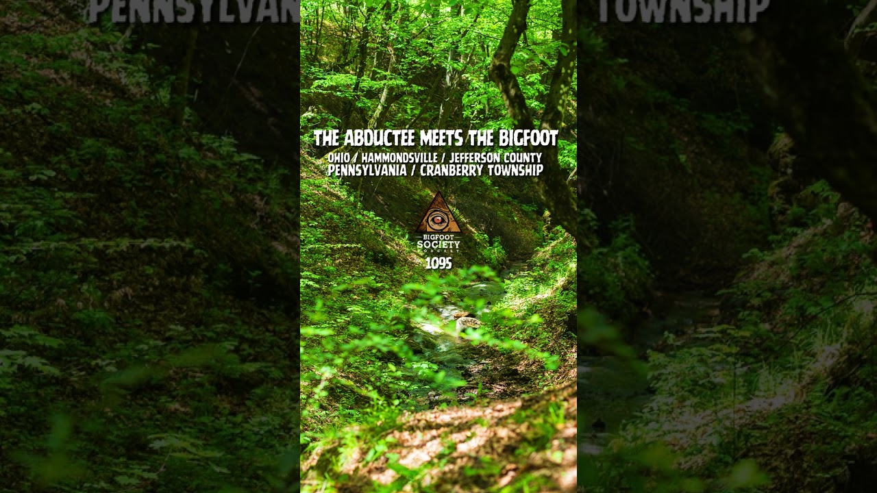 He was taken in the middle of the night