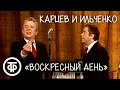 "Воскресный день". Карцев и Ильченко (1984)