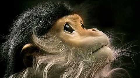 BPM   Ignition Sequence