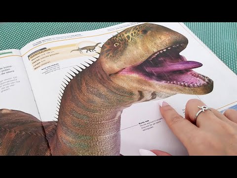 ASMR Dino Book Page Turning & Some Page Squeezing • No Talking