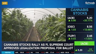 Cannabis Stocks on the Rise After Approval on Florida Ballot