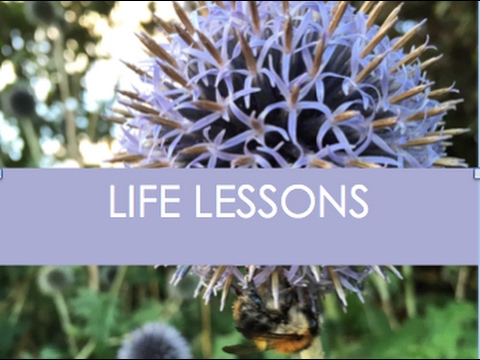 Life Lessons - by Pixie Productions - Where Stories Come to Life - YouTube