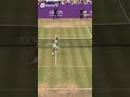 Carlos Alcaraz reaches his FIRST grass court final!