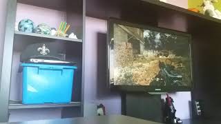 Call Of Duty 4: Epic Funny Fail :D