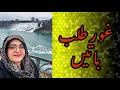 Zindagi k kuch karway sach  pakistani single mom vlogs in canada   canada daily vlogs