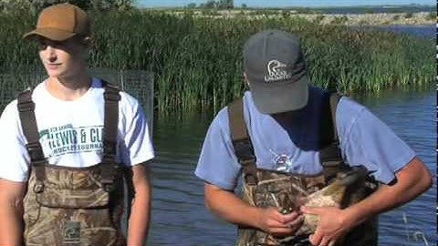 Puddler - June 2011 - Duck Banding