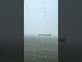 Bí quyết để không bị giông bão cuộc đời nhấn chìm 💡🛶