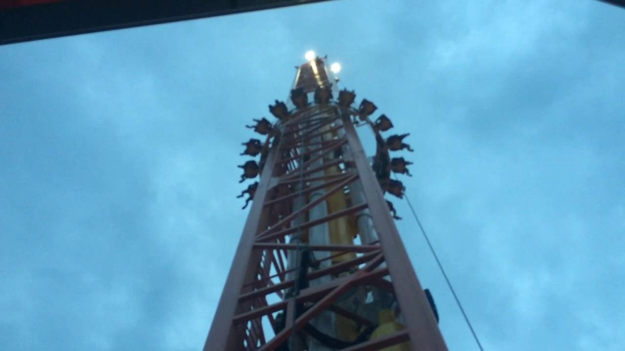 Жар птица. Сочи парк. - YouTube