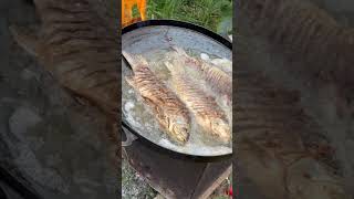 Fish Hits Different in Nature 🔥 #FriedFish #OutdoorCooking #CampingCooking #FishOnFire #Campfire