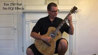 Andrew White Guitars Eos 2S0 nat