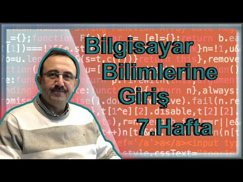 Video: Bir Mutt İçin En İyi Ortak Eki Seçmek - Bilmeniz Gereken 6 Şey