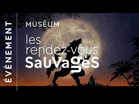 Rendez-vous sauvage de l'automne