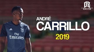 André Carrillo Spektrem Shine - Goals Skills 2019ᴴᴰ