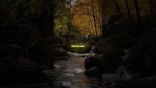 Chemtrails Over The Country Club - Lana Del Rey Aesthetic Lyrics Video Whatsapp Status