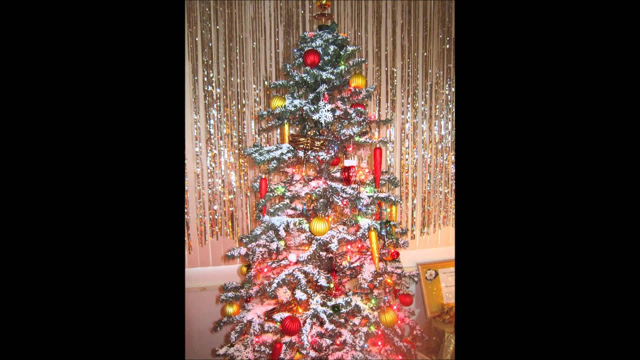 Christmas Trees in Marco Island YouTube