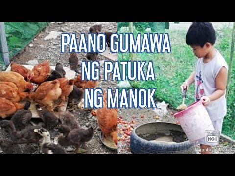 Video: Ano Ang Pupunta Sa Paggawa Ng Basang Pagkain Ng Alagang Hayop?