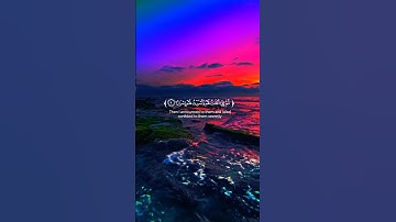 القران الكريم 🌿 للقارئ الشيخ ماهر المعيقلي 🌿 سورة نوح 🌿❤
