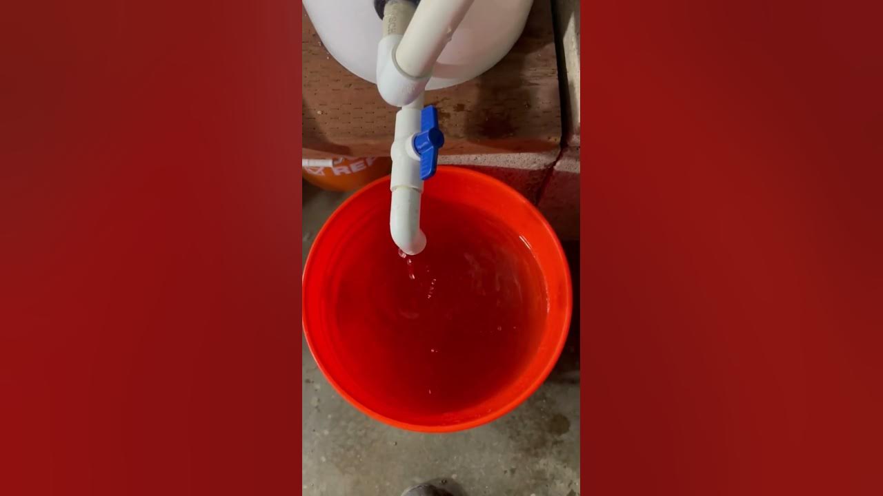 How to Make Rabbit Manure Tea YouTube