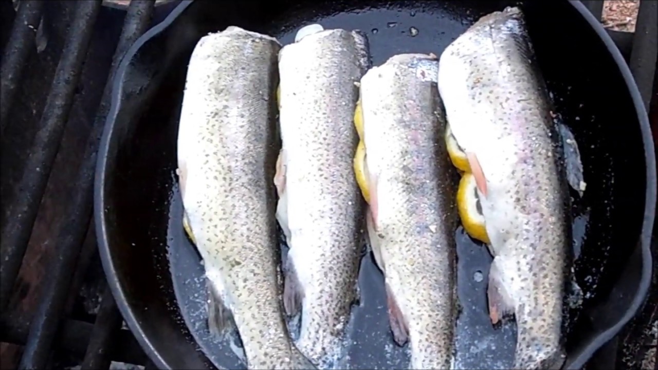 Campfire Cooking Trout Fishing Day 1 Mountain Lake Trout YouTube